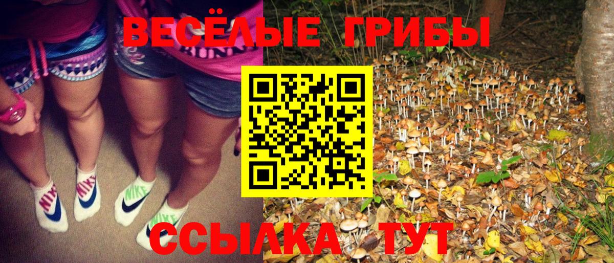 Псилоцибиновые грибы MAGIC MUSHROOMS Дубна