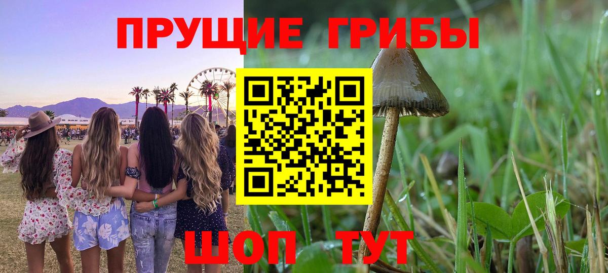 Галлюциногенные грибы Cubensis  Вход с VPN  Дубна 